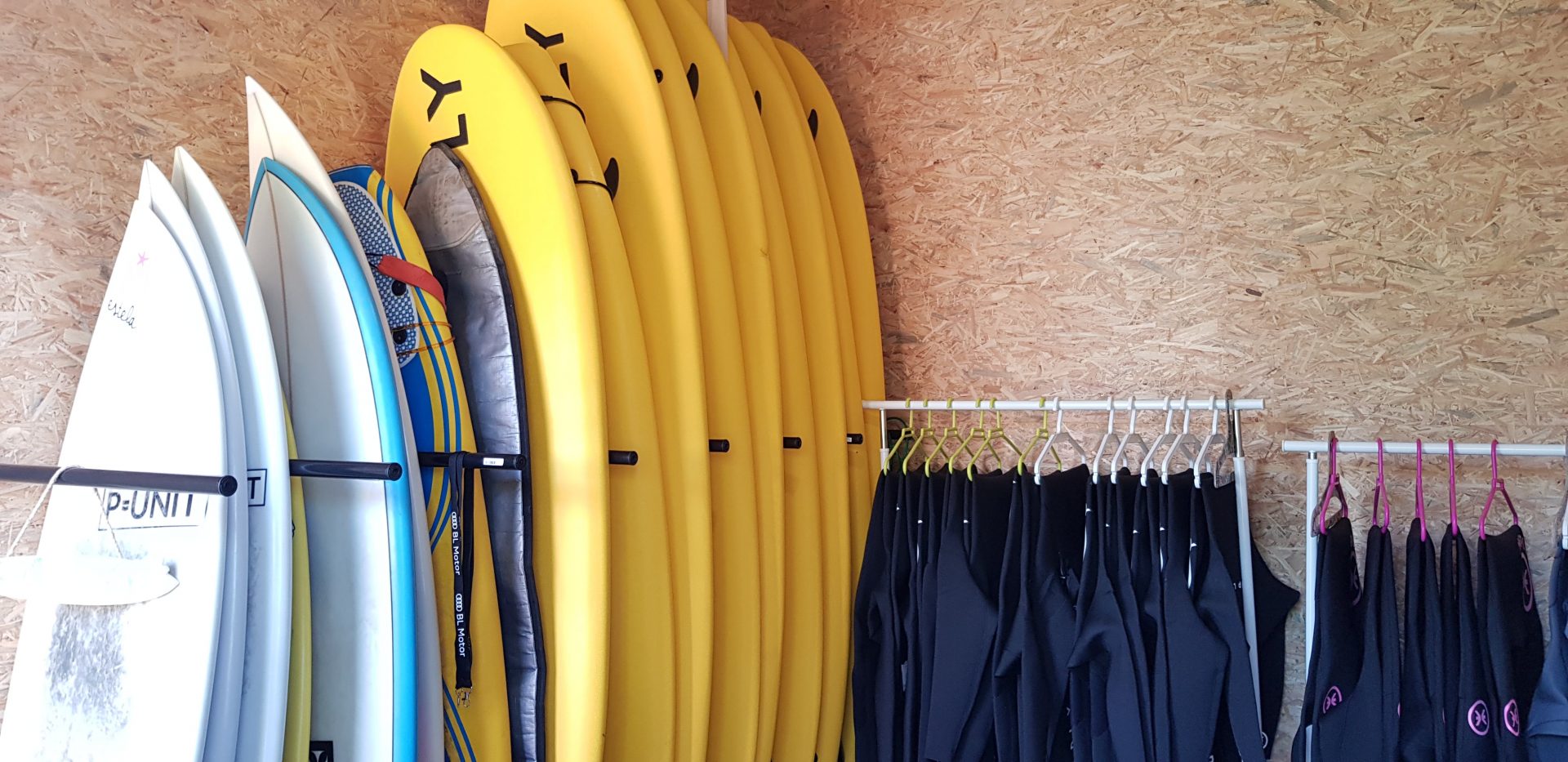 Delve into Surfing Essentials