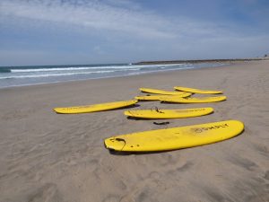 surf lesson