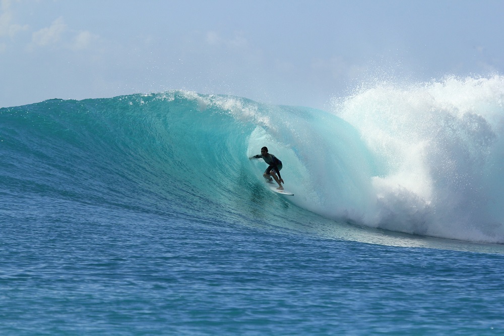 Surf camp porto