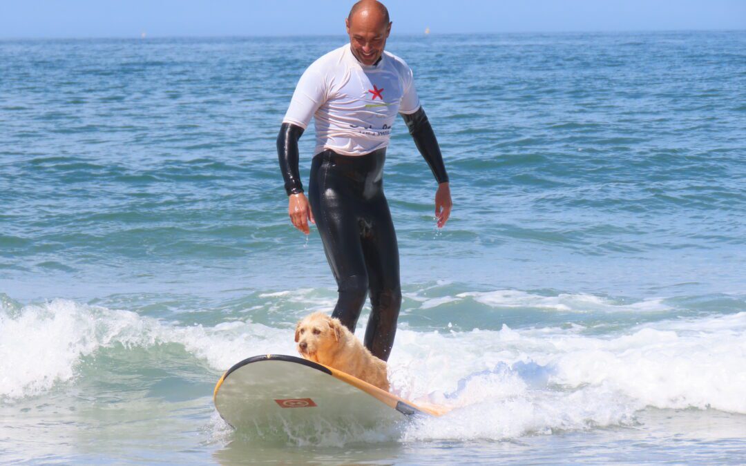 🌊 Catch the Best Waves at Surf School Póvoa de Varzim! 🏄‍♂️