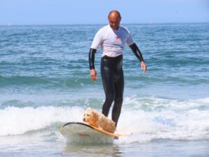 surf lessons